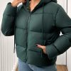 Solid Color Hooded Zip-Up Long Sleeve Jacket, Winter